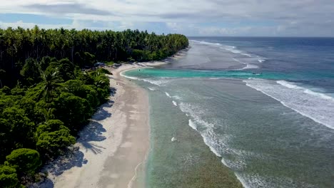 Endlose-Palmen--Oder-Kokospalmenhaine-Und-Wunderschöne-Strände-Auf-Dem-Inselparadies-Der-Insel-Teraina-Kiribati-Mikronesien-Pazifische-Inseln-1