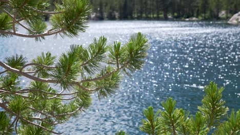 Kabbeliges-Wasser-Auf-Einem-Hochgebirgssee-In-Den-Sierras
