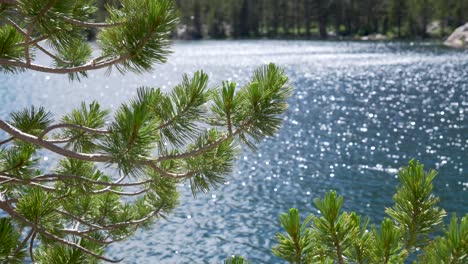 Agua-Agitada-En-Un-Lago-De-Alta-Montaña-En-Las-Sierras