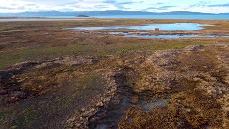 Beautiful-aerial-of-a-marsh-in-Patagonia-on-the-edge-of-Lago-Argentina-El-Calafate-Argentina-1