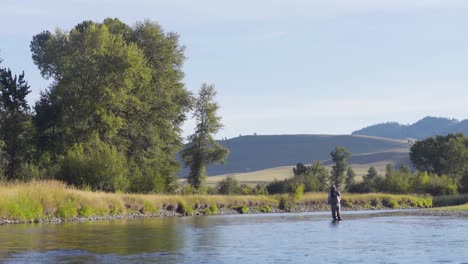 Un-Pescador-Con-Mosca-En-Una-Hermosa-Mañana-De-Verano-Arroja-Truchas-En-Un-Río-Montana