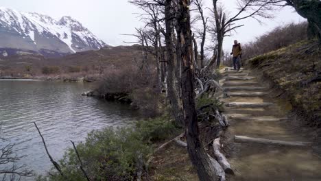 Ein-Wanderer-Wandert-Durch-Die-Wildnis-Auf-Einem-Abenteuer-Im-Bewölkten,-Windigen-Fitz-Roy-Nationalpark-Argentinien-3