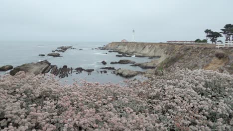 Beautiful-dolly-shot-of-wildflowers-and-wave-breaking-on-the-shore-below-the-historic-Point-Arena-Lighthouse-California