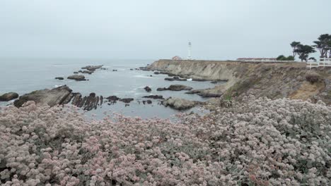 Hermosa-Carretilla-Shot-De-Flores-Silvestres-Y-Olas-Rompiendo-En-La-Orilla-Debajo-Del-Histórico-Point-Arena-Lighthouse-California