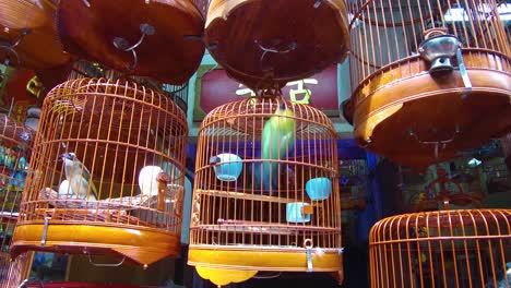 Vögel-In-Holzkäfigen-Werden-In-Einem-Chinesischen-Heimtiermarkt-In-Hongkong-Zum-Verkauf-Angeboten-1