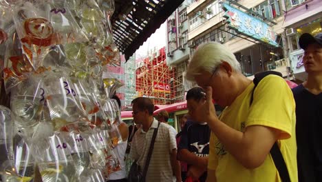 Exotische-Fische-Werden-In-Plastiktüten-An-Einer-Wand-In-Einem-Marktladen-In-Hong-Kong-China-Angeboten-2