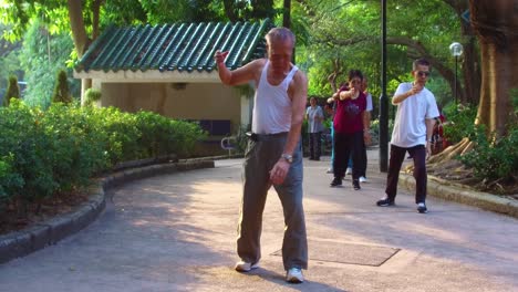 Chinesische-Senioren-Praktizieren-Tai-Chi-In-Einem-Park-Am-Frühen-Morgen-In-Hong-Kong-China-1