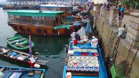 Boat-filled-with-fish-is-docked-at-Hong-Kong-harbor-China