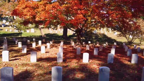 Disparo-De-Movimiento-Lento-A-Lo-Largo-De-Las-Tumbas-En-El-Cementerio-Nacional-De-Arlington,-Washington-DC-Con-Colores-De-Otoño