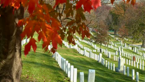 Establecimiento-De-Tumbas-En-El-Cementerio-Nacional-De-Arlington,-Washington-Dc,-Con-Colores-De-Otoño