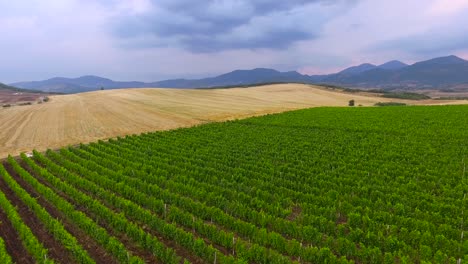 Vista-Aérea-over-cultivated-farm-fields-in-Eastern-Europe-2