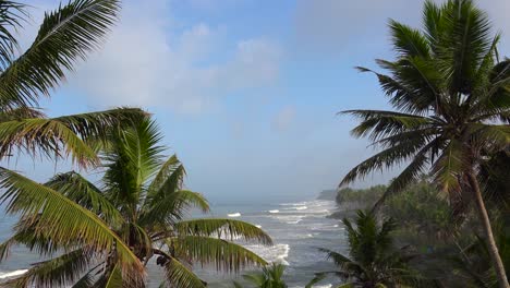 Wellen-Rollen-An-Der-Von-Palmen-Gesäumten-Küste-Von-Kerala-Indien-Ans-Ufer