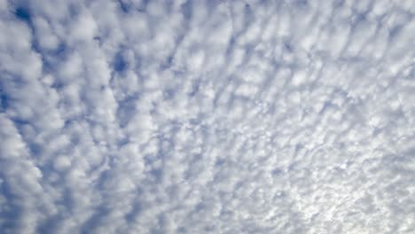 Zeitrafferaufnahme-Von-Weißen-Altocumulus-Wolken,-Die-über-Uns-Hinwegziehen