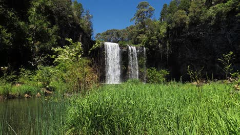 Establishing-shot-of-Dangar-Falls-in-Dorrigo-New-South-Wales-Australia-2
