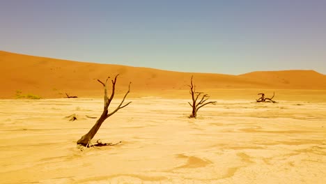 Vista-Aérea-around-the-dead-trees-at-Sossusvlei-desert-sand-dunes-in-the-Namib-Desert-Namibia-Africa-1