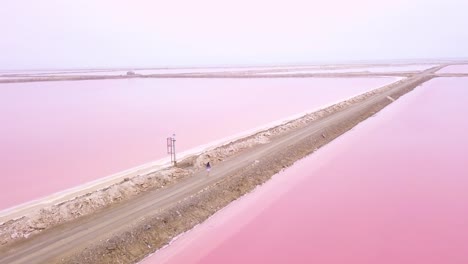 Erstaunliche-Antenne-über-Einer-Frau,-Die-Auf-Einer-Farbenfrohen-Rosa-Salzseeregion-In-Namibia-Afrika-Joggt-Oder-Läuft-1