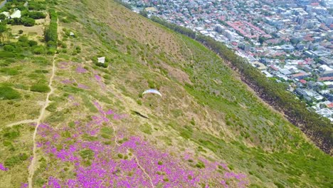 Drone-aerial-over-paragliding-and-paragliders-with-the-downtown-city-of-Cape-Town-South-Africa-in-background-3