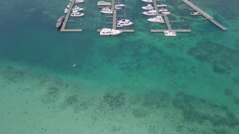 Antenne-über-Sportboote-Und-Yachten-Im-Hafen-Von-Boca-Chica-Dominikanische-Republik-2