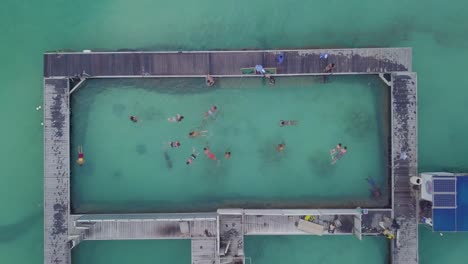 Antena-De-Turistas-Buceando-Y-Nadando-En-Un-Centro-De-Nado-Con-Delfines-En-Punta-Cana-En-La-República-Dominicana