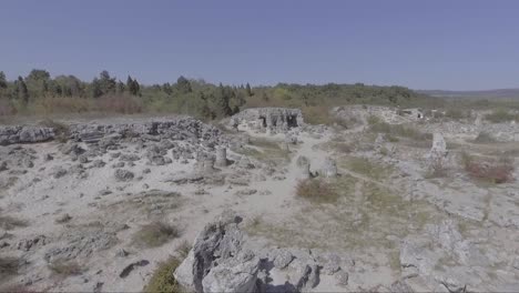 Aerial-of-Pobiti-Kamani-also-known-as-The-Stone-Desert-is-a-desertlike-rock-phenomenon-located-on-the-north-west-Varna-Province-border-in-Bulgaria