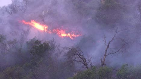 Ein-Buschfeuer-In-Den-Hügeln-Von-Malibu-Brennt-Im-Woolsey-Feuer-Außer-Kontrolle-1