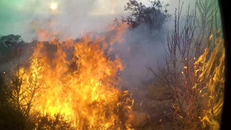 Ein-Buschfeuer-Brennt-Sehr-Nah-An-Einer-Fernerkundungskamera-Auf-Einem-Hügel-In-Südkalifornien-Während-Des-Höhlenfeuers-In-Santa-Barbara-1