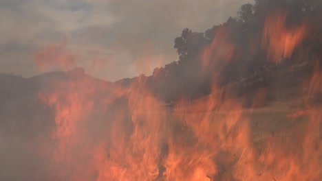 Un-Incendio-Forestal-Prescrito-Controlado-Quema-Alrededor-De-Una-Cámara-Remota-No-Tripulada-En-Un-área-Silvestre-En-El-Condado-De-Santa-Bárbara,-California-1