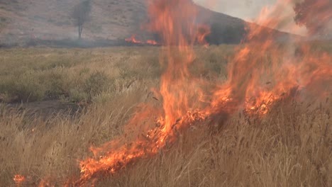 Un-Bombero-Enciende-Un-Incendio-Forestal-Prescrito-Controlado-En-Un-área-Silvestre-En-El-Condado-De-Santa-Bárbara,-California
