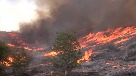 A-Wildfire-Brush-Fire-Burns-In-The-Hills-Of-Southern-California