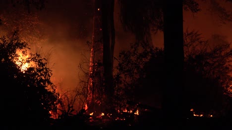 Incendio-Forestal-Nocturno-Ardiendo-Durante-El-Incendio-Del-Complejo-Relámpago-En-Las-Montañas-De-Santa-Cruz,-California