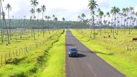 Los-Turistas-Se-Asoman-A-Un-Automóvil-Y-Se-Divierten-Conduciendo-Por-Una-Carretera-En-Vanuatu,-Melanesia,-Islas-Del-Pacífico