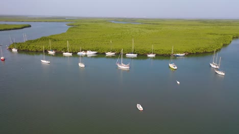 Aerial-Over-Vast-Mangrove-Swamps-And-Boats-On-The-Gambia-River-The-Gambia-West-Africa