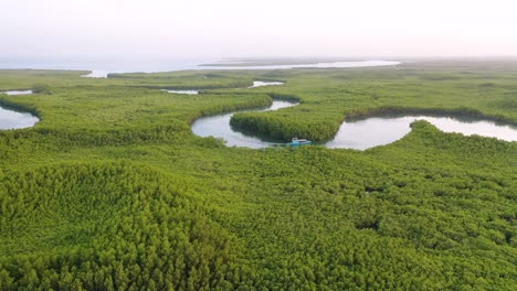Beautiful-Vista-Aérea-Over-Small-Boat-Moving-Along-The-Gambia-Río-In-West-Africa-Through-Mangrove-Forests-And-Winding-Bends-6