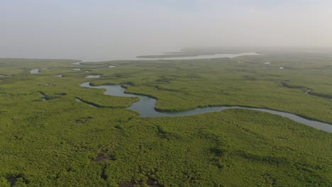 Antenne-über-Riesige-Mangrovensümpfe-Auf-Dem-Gewundenen-Gambia-Fluss-Gambia-Westafrika