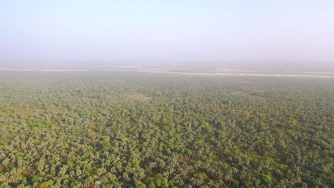 Antena-Sobre-El-Interior-De-Gambia,-África-Occidental-Con-Bosques-De-Palmeras-Y-Neblina