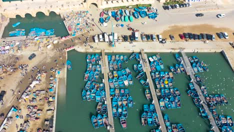 Schöne-Luftaufnahme-Von-Oben-Nach-Unten-Auf-Blaue-Boote-Im-Hafen-Von-Essaouira,-Marokko-Mit-Vögeln,-Die-Oben-Fliegen