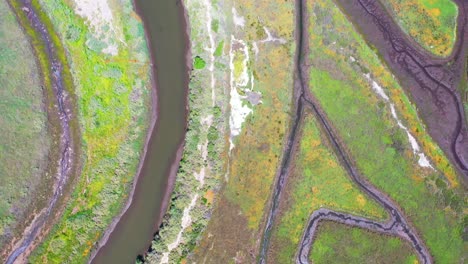Aerial-Straight-Down-Marsh-Wetlands-Area-Near-Carpinteria-Santa-Barbara-California-1