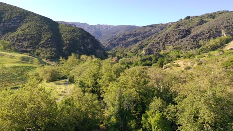 Beautiful-Aerial-Up-A-Remote-Uninhabited-Canyon-In-Santa-Ynez-Mountains-Along-The-Central-Coast-Of-California