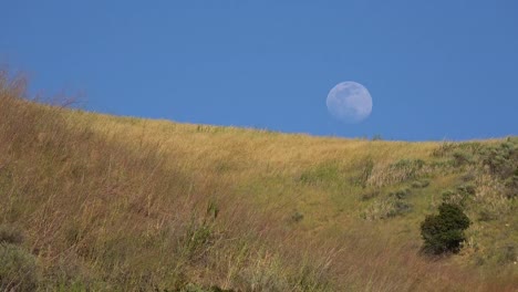 A-Full-Moon-Rises-Over-A-Hillside-In-California-With-Grass-Blowing-In-This-Beautiful-Nature-Shot-1