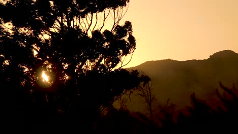 Sundowner-Santa-Ana-Winde-Weht-Staub-Und-Bäume-Auf-Einer-Ranch-In-Santa-Ynez-Santa-Barbara-Kalifornien-Ca