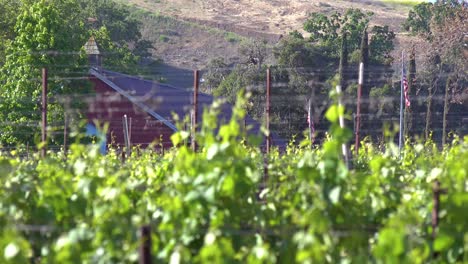 Rack-Focus-Of-A-Small-Organic-Farm-Flying-The-American-Flag-In-Santa-Ynez-Santa-Barbara-California-1