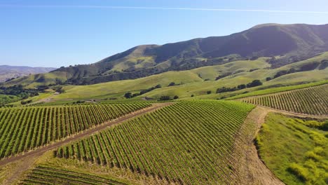 Good-Aerial-Over-The-Wine-Growing-Region-Of-Santa-Ynez-Vineyards-In-Santa-Barbara-County-California