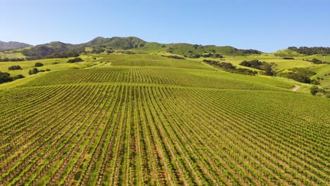 Good-Aerial-Over-The-Wine-Growing-Region-Of-Santa-Ynez-Vineyards-In-Santa-Barbara-County-California-1