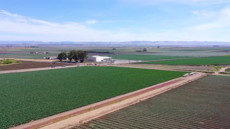 Establishing-Aerial-Over-The-Fertile-Farm-Lands-Of-The-Santa-Maria-Valley-California