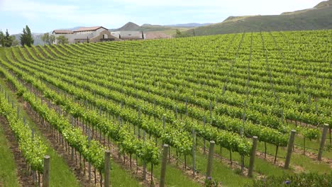 A-Beautiful-Winery-And-Vineyards-In-The-Santa-Ynez-Region-Of-Santa-Barbara-California