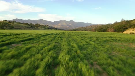 Beautiful-Aerial-Over-Grassland-And-Remote-Hills-And-Mountains-In-Santa-Barbara-County-Central-California-3