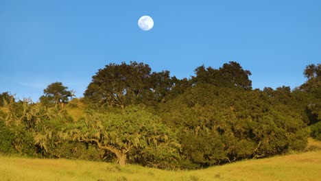 La-Luna-Llena-Se-Eleva-Sobre-Una-Ladera-En-El-Centro-De-California-En-Esta-Hermosa-Naturaleza-Foto-1