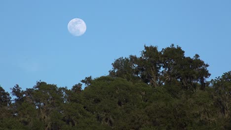 Una-Luna-Llena-Se-Eleva-Sobre-Una-Ladera-En-El-Centro-De-California-En-Esta-Hermosa-Naturaleza-Foto-3