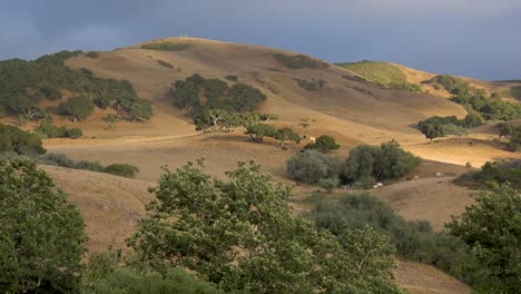 Beautiful-Time-Lapse-Of-Oak-Trees-And-Grasslands-Of-Central-California-San-Luis-Obispo-With-Hills-And-Mountains