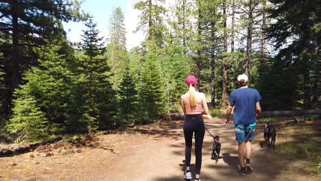 Ein-Mann-Und-Eine-Frau-Gehen-Mit-Ihren-Hunden-In-Zeitlupe-Durch-Einen-Wald-In-Den-Sierra-Nevada-Bergen-In-Der-Nähe-Von-Lake-Tahoe,-Kalifornien